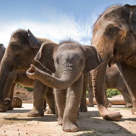 Kleefelder Hof מלון הנובר